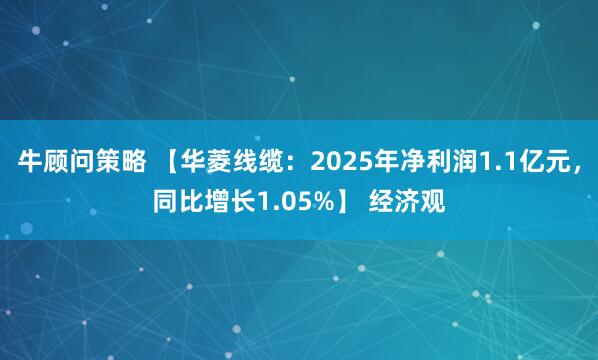牛顾问策略 【华菱线缆：2025年净利润1.1亿元，同比增长1.05%】 经济观