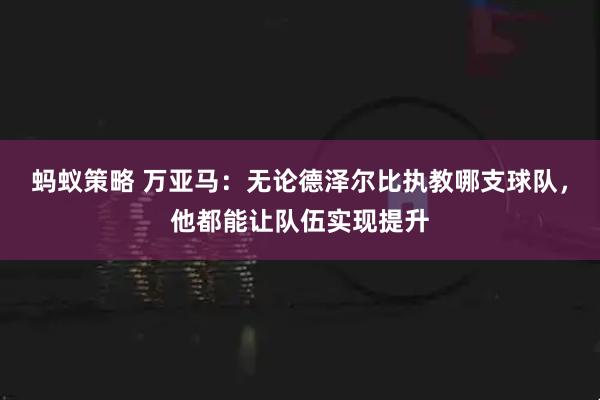 蚂蚁策略 万亚马：无论德泽尔比执教哪支球队，他都能让队伍实现提升